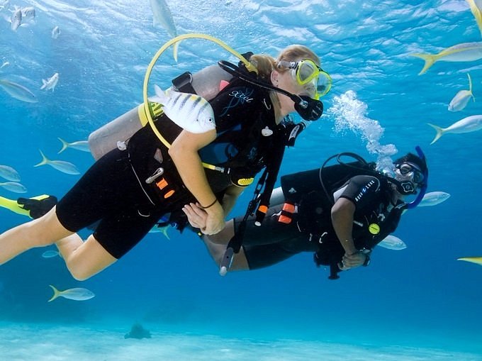 Scuba dive in netrani island